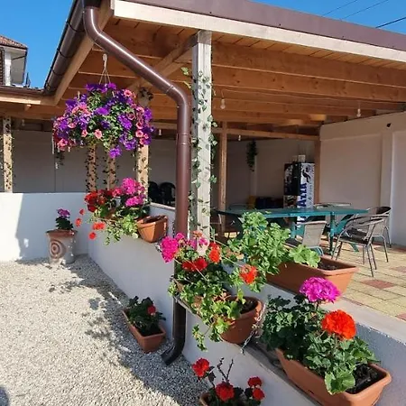 Soliday Homestay Vama Veche