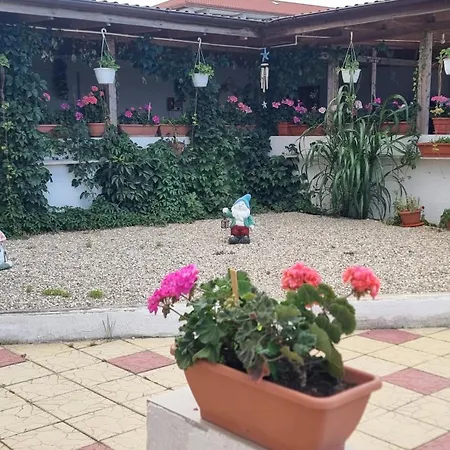 Homestay Soliday Vama Veche