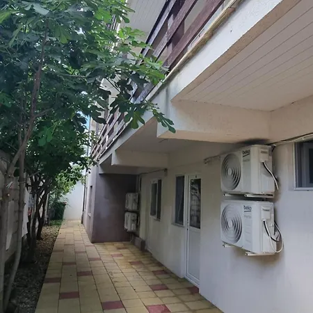 Soliday Homestay