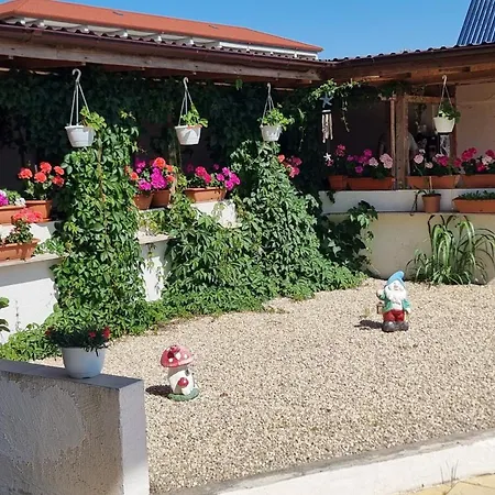 Soliday Homestay Vama Veche
