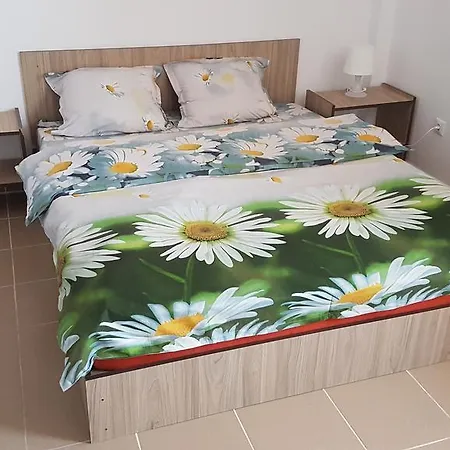 Homestay szállás Soliday Vama Veche