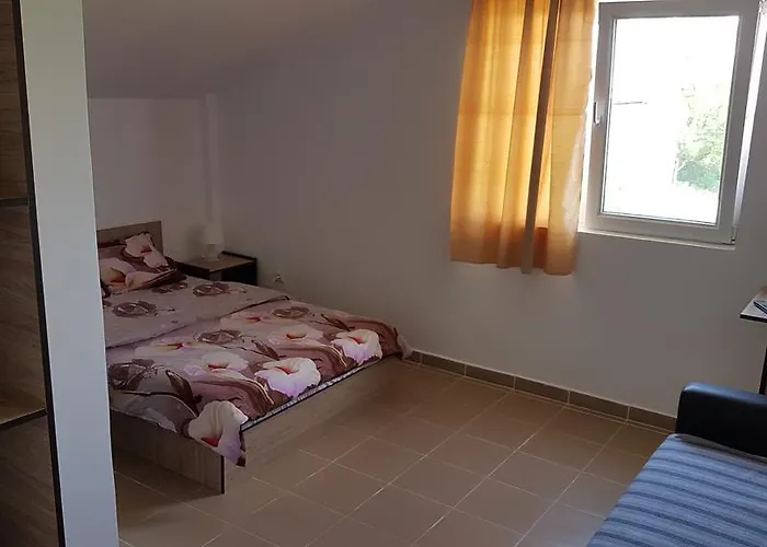 Soliday Alloggio in famiglia Vama Veche